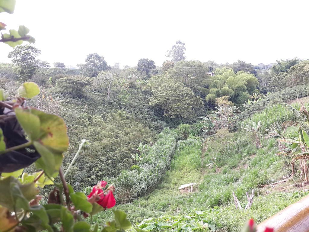 Finca El Diamante Villa Calarcá Eksteriør bilde