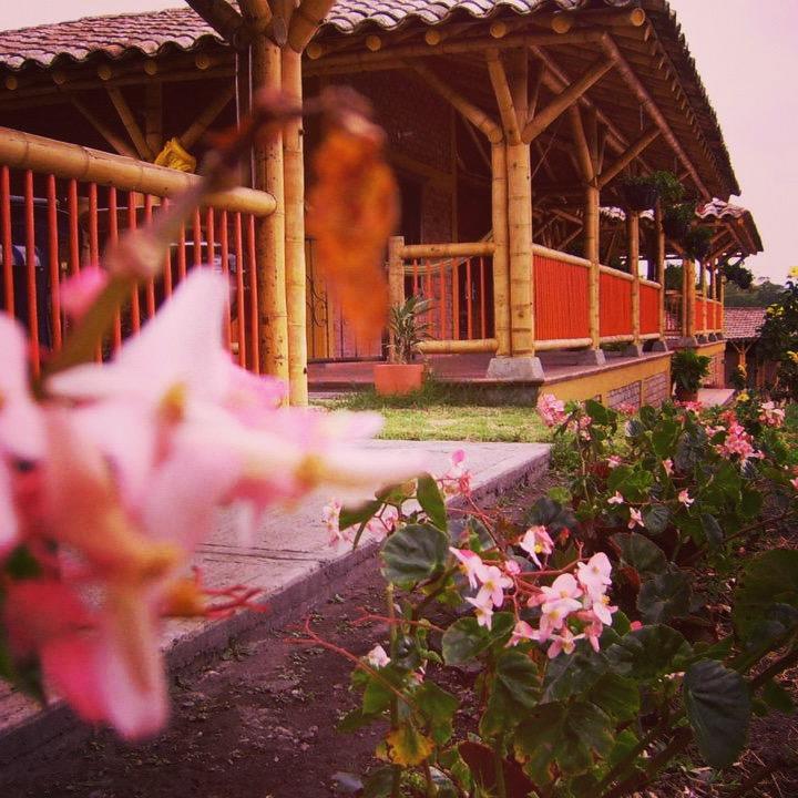 Finca El Diamante Villa Calarcá Eksteriør bilde