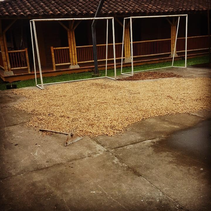 Finca El Diamante Villa Calarcá Eksteriør bilde
