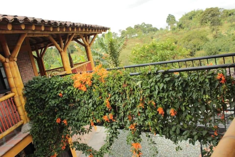 Finca El Diamante Villa Calarcá Eksteriør bilde