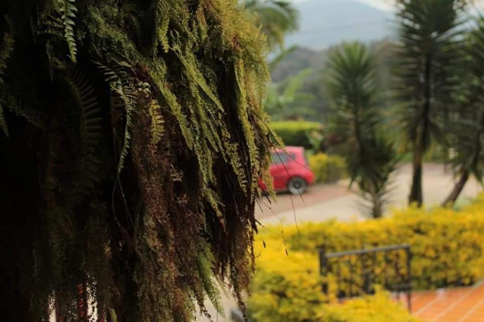 Finca El Diamante Villa Calarcá Eksteriør bilde